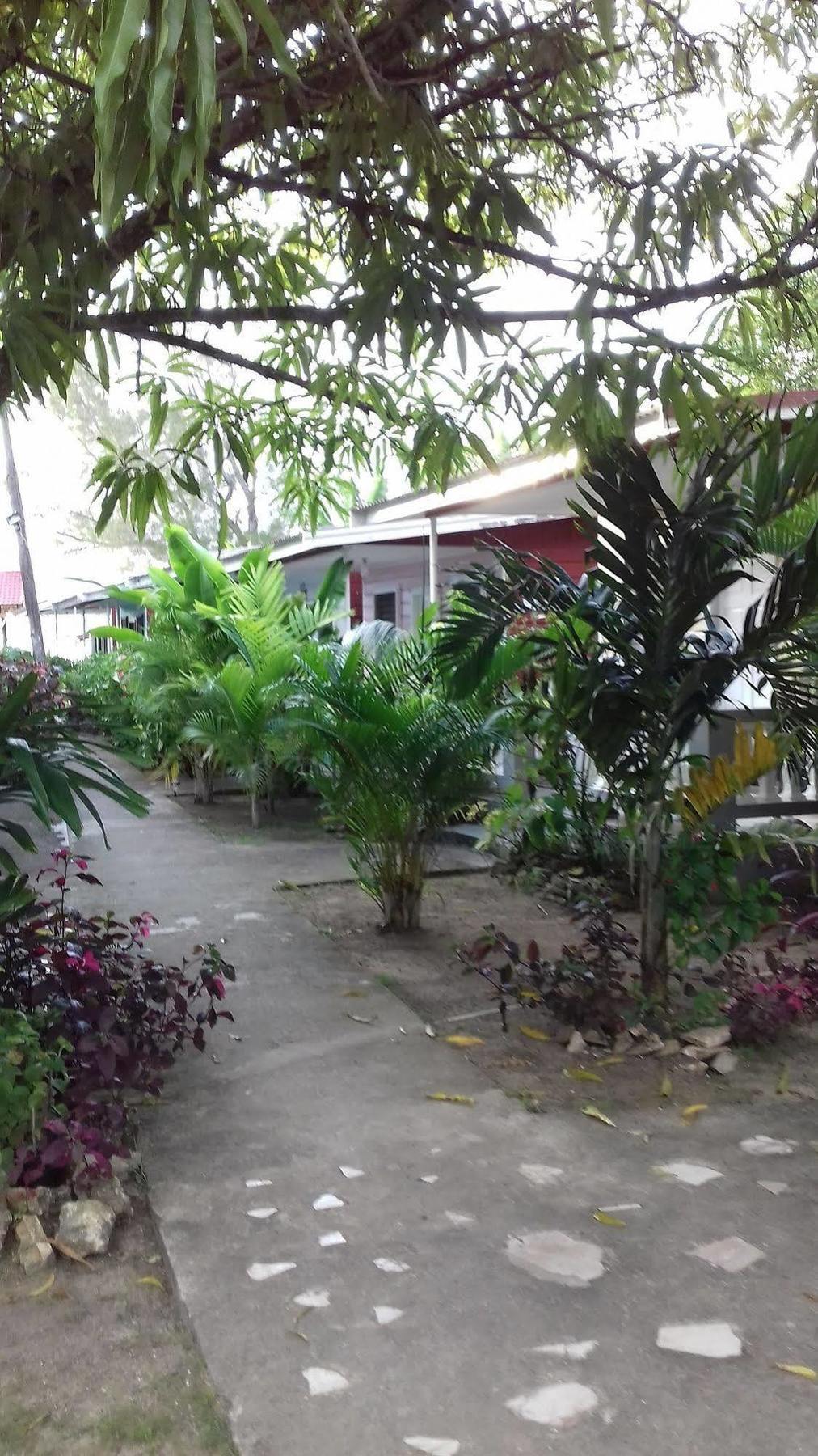 Roots Bamboo Beach Resort Negril Esterno foto